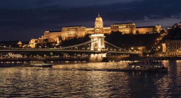 Drink and Cruise Options