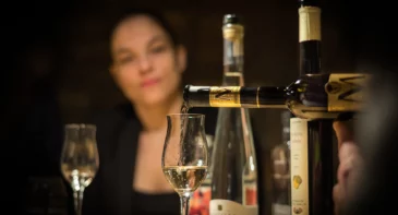 Széchenyi Spa Full-Day Admission with Optional Tasting