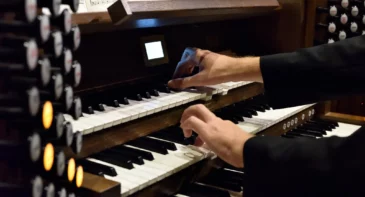 Organ Concert in the St. Stephen’s Basilica