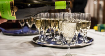 Danube Cruise with Hungarian Dinner and Live Music