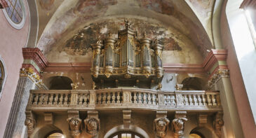 Budapest: St. Michael's Church Organ Concert Ticket